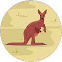 Leon der Proffi Leon der Proffi